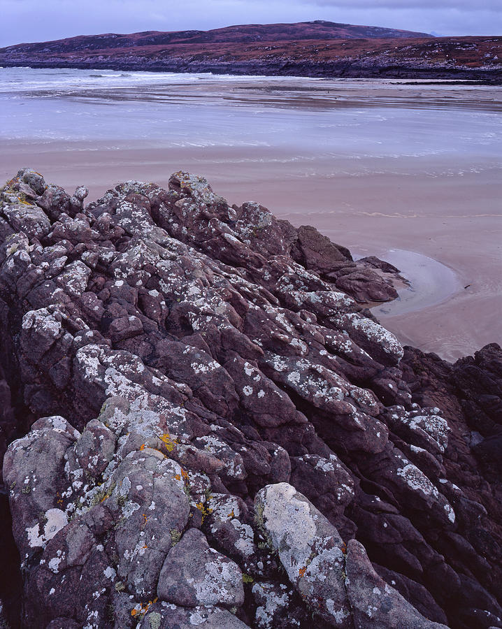 Low Tide - Bracken Photograph by Tom Daniel