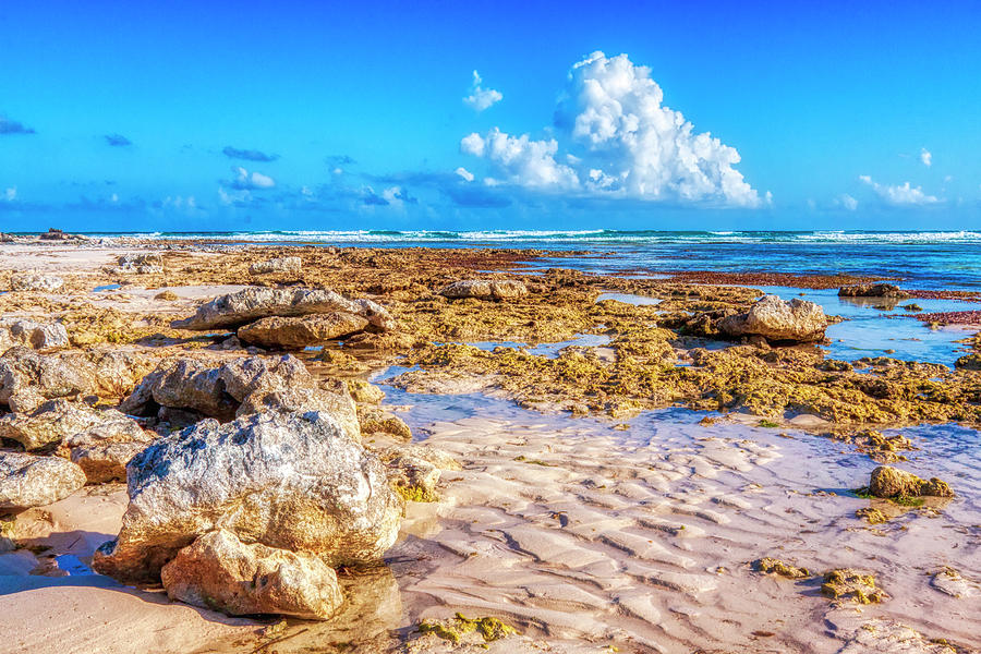 Low Tide Cozumel Mexico Photograph by Tatiana Travelways