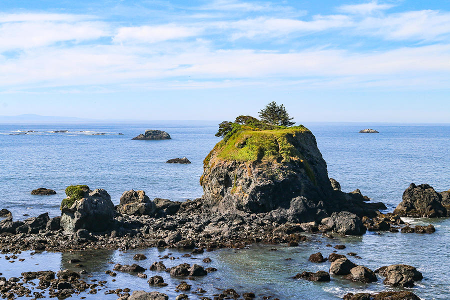 Beach Photograph - Low Tide - Crescent City California by Art Block Collections