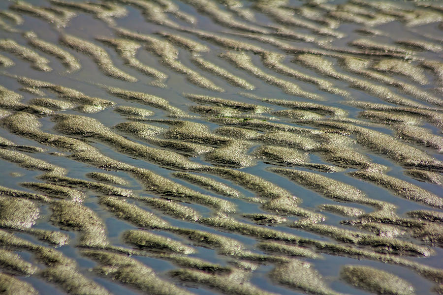 Low Tide Photograph
