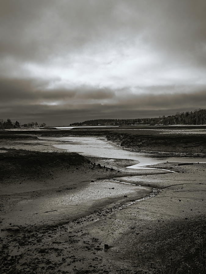 Low Tide - Inner Harbour Photograph by Alan Norsworthy