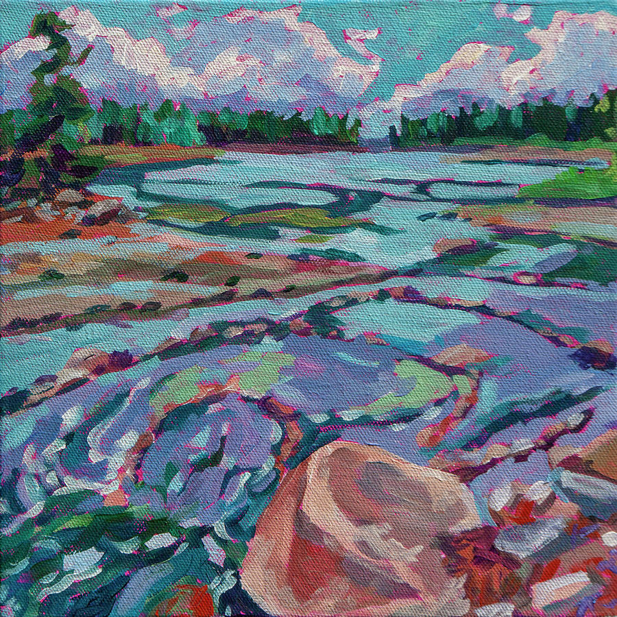 Low Tide Mount Desert Island Maine Painting by Heather Nagy