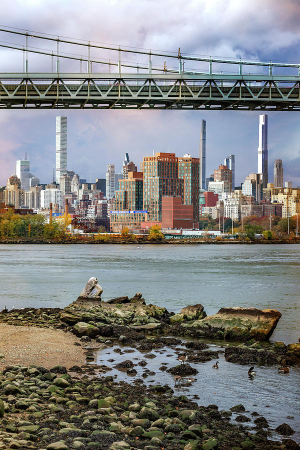 Low Tide on the East River Photograph by Cate Franklyn