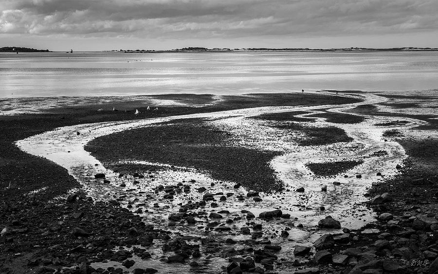 Low Tide Plymouth MA Harbor BW Photograph by David Gordon