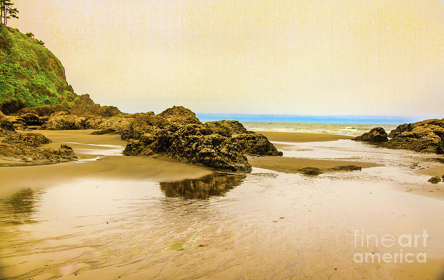 Low Tide Photograph by Robert Bales
