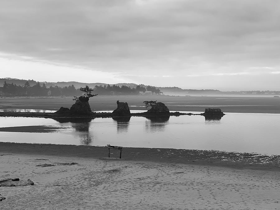 low-tide-photograph-by-roxanne-fletcher-fine-art-america