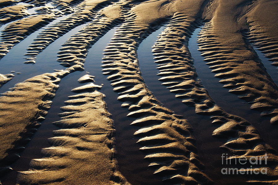 Pattern Photograph - Low Tide Sand and Sea Water Pattern by Tim Gainey