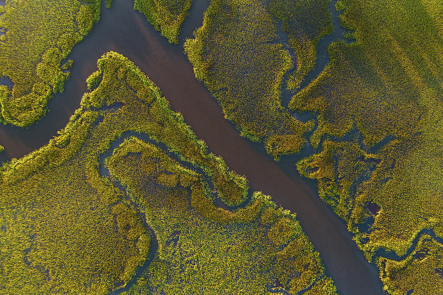 Lowcountry Marsh and Creek Photograph by Donnie Whitaker
