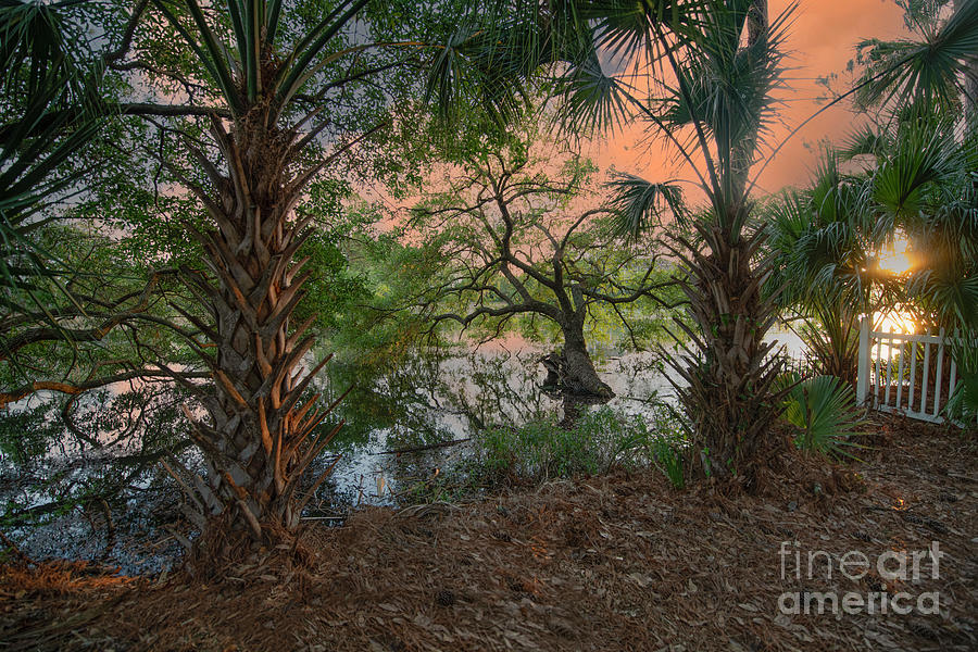 Sunset Photograph - Lowcountry Paradise - Sunset Golden Hour by Dale Powell