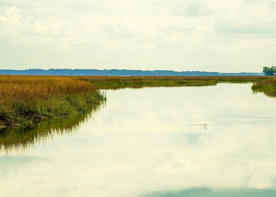Lowcountry Reflections Photograph by Dennis Schmidt