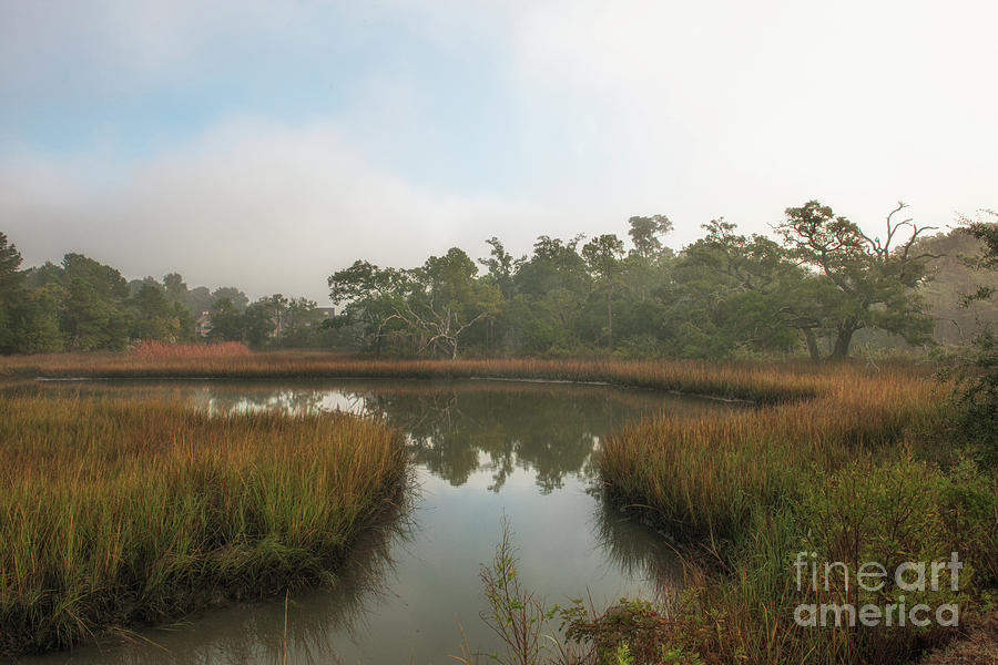 Lowcountry Salt Marsh - Morning Fog Photograph by Dale Powell
