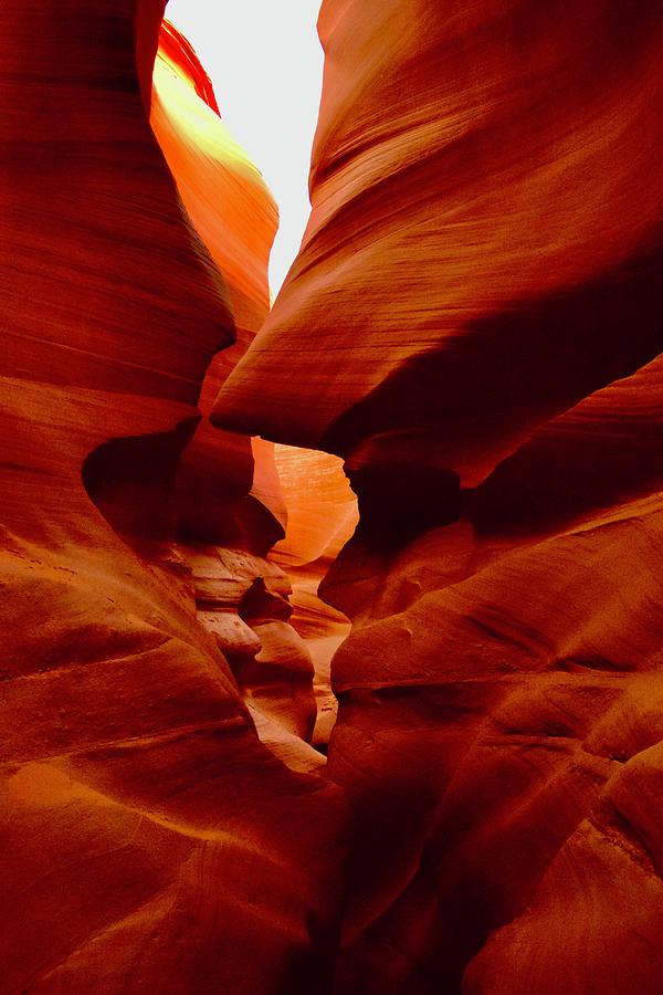 The Shark-Lower Antelope Photograph by Bnte Creations