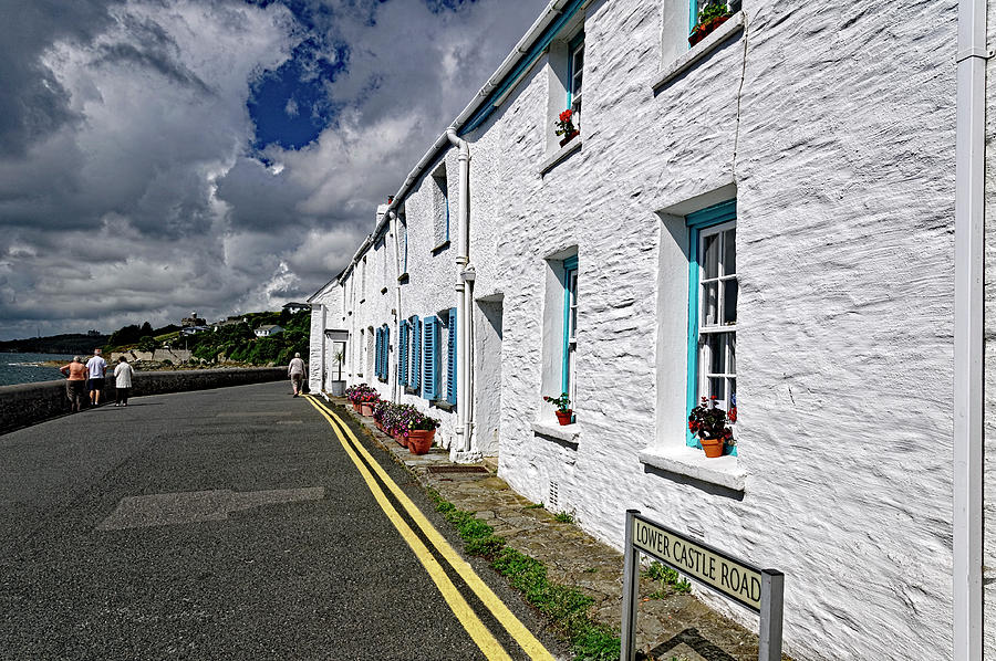 Flower Photograph - Lower Castle Road Cottages, St Mawes by Rod Johnson