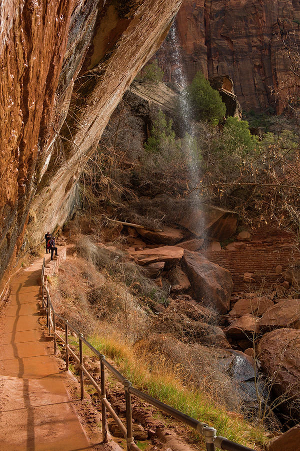 lower Emerald Pools grotto, Zion National Park Photograph by David L Moore