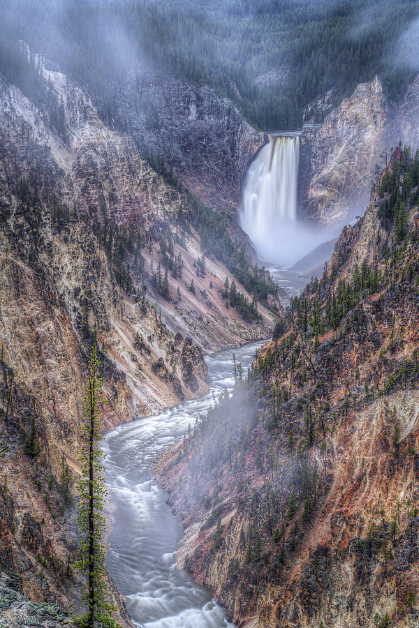 Lower Falls Photograph by Brad Bellisle