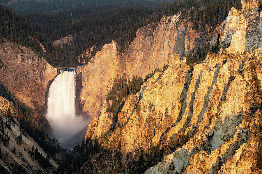 Lower Falls, Grand Canyon of the Yellowstone at Sunrise Photograph by Adam Pender