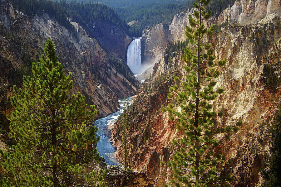 Lower Falls - Grand Canyon of the Yellowstone Photograph by Suzanne Stout