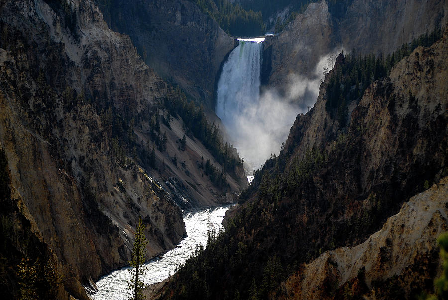 Lower Falls II, Yellowstone National Park, Wyoming Photograph by Earth And Spirit