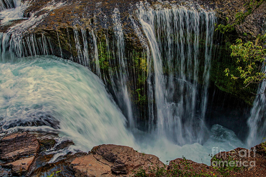 Lower Lewis Falls, Mt St Helens, Washington, Waterfall, Nature, Hiking,  Photograph by David Millenheft