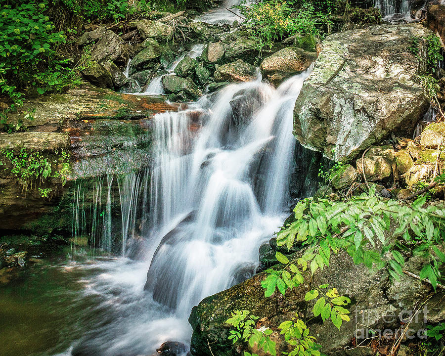 Lower Falls Photograph by Nick Zelinsky Jr