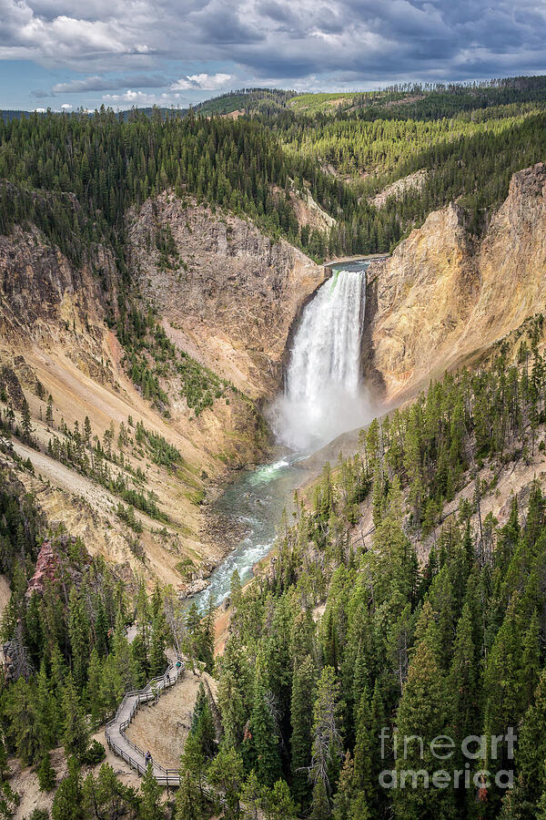 Lower Falls of Grand Canyon of Yellowstone 71 Photograph by Maria Struss Photography