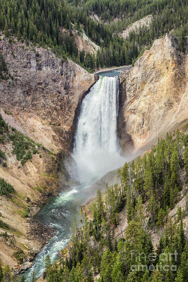 Lower Falls of Yellowstone 64 Photograph by Maria Struss Photography