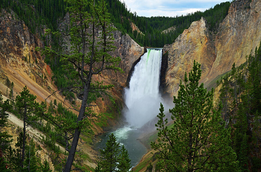 Lower Falls of the Yellowstone Photograph by Ben Prepelka