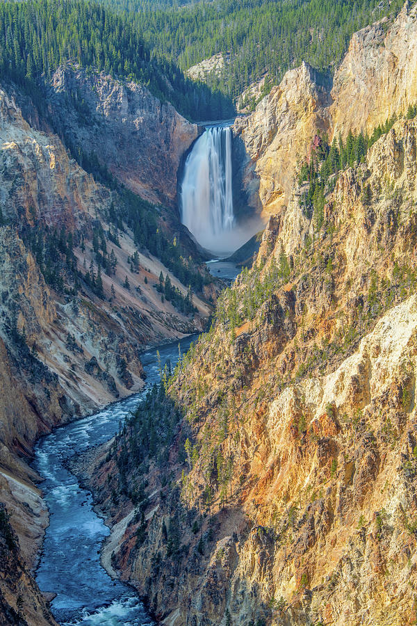Lower Falls of the Yellowstone River Photograph by Marcy Wielfaert