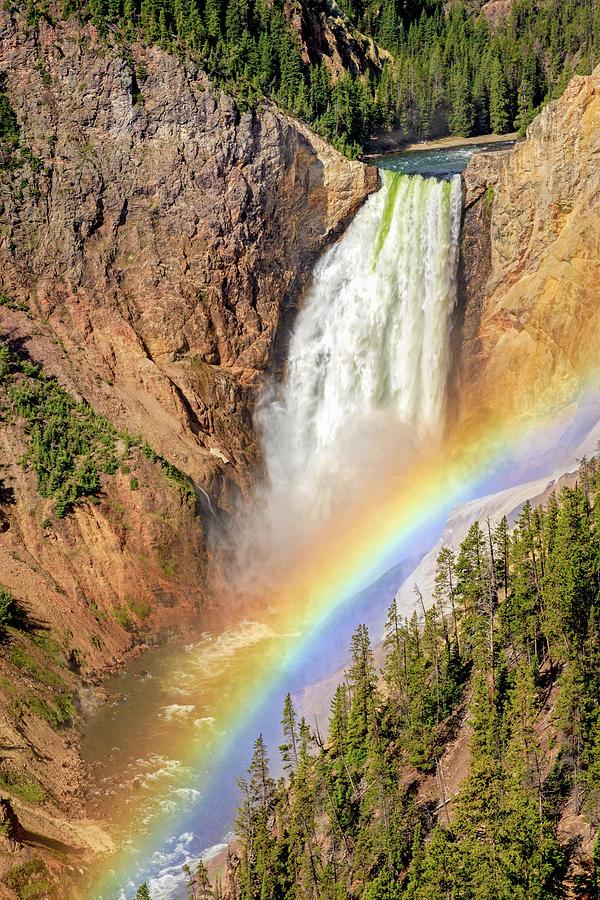 Lower Falls of the Yellowstone with Rainbow Vertical Photograph by Jack Bell