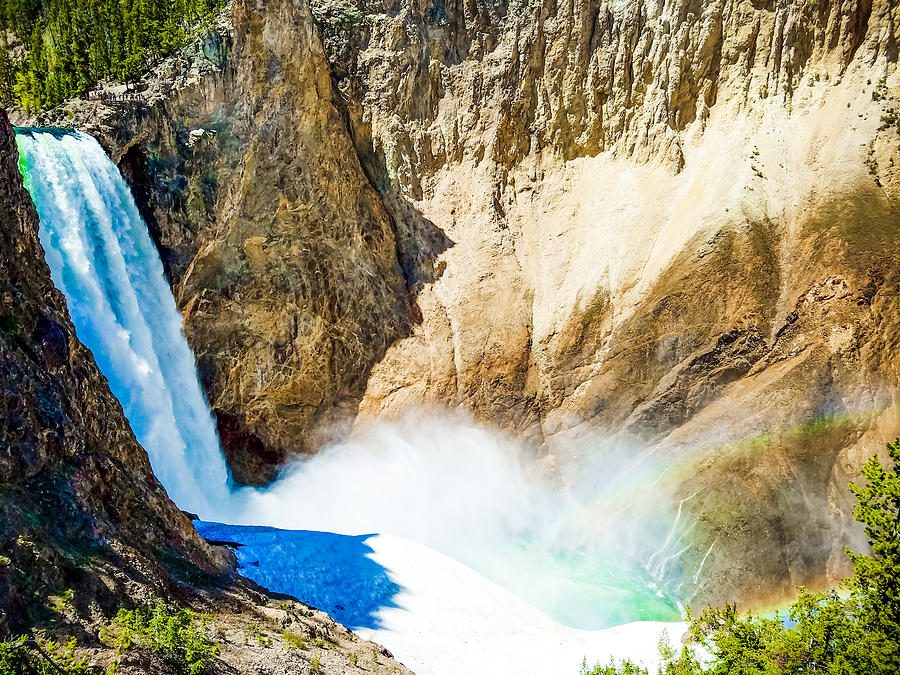 Lower Falls Yellowstone Photograph by Bonny Puckett