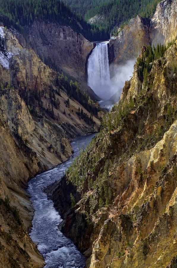 Lower falls Yellowstone Photograph by Dwight Eddington - Fine Art America