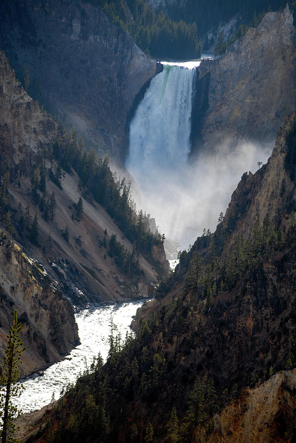Lower Falls, Yellowstone National Park, Wyoming Photograph by Earth And Spirit