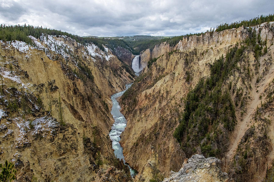 Lower Falls, Yellowstone River Photograph by Mark Duehmig