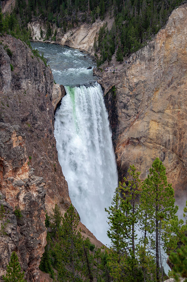 Lower Falls Yellowstone Photograph by Rob Hemphill