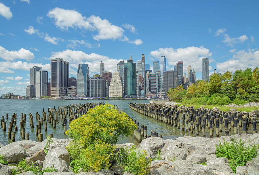Lower Manhattan from Brooklyn Bridge Park Photograph by Cate Franklyn