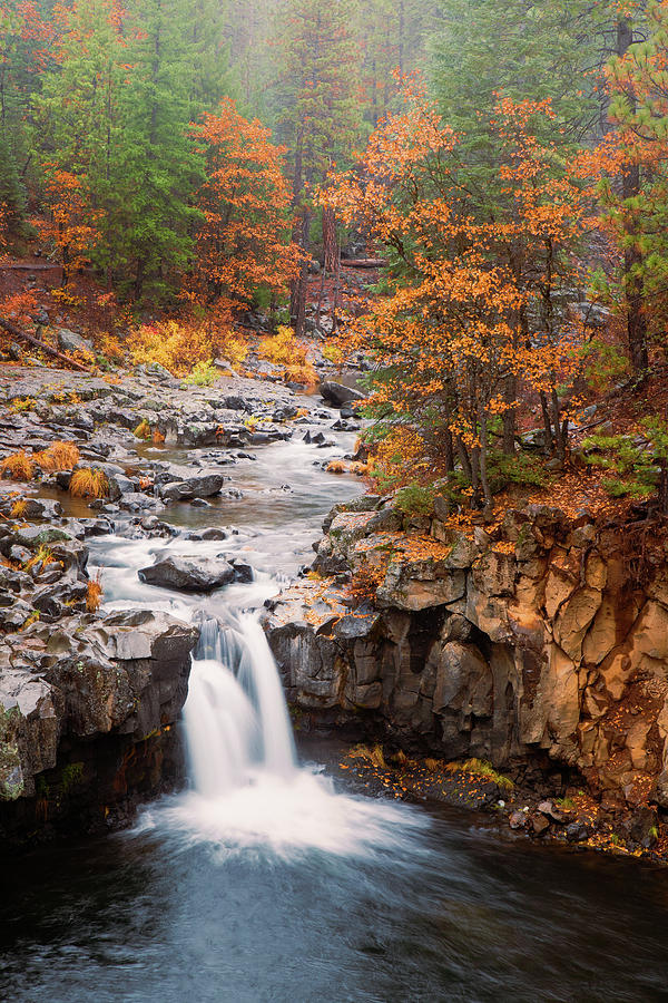 Lower McCloud Falls in Autumn Mist Photograph by Mike Lee