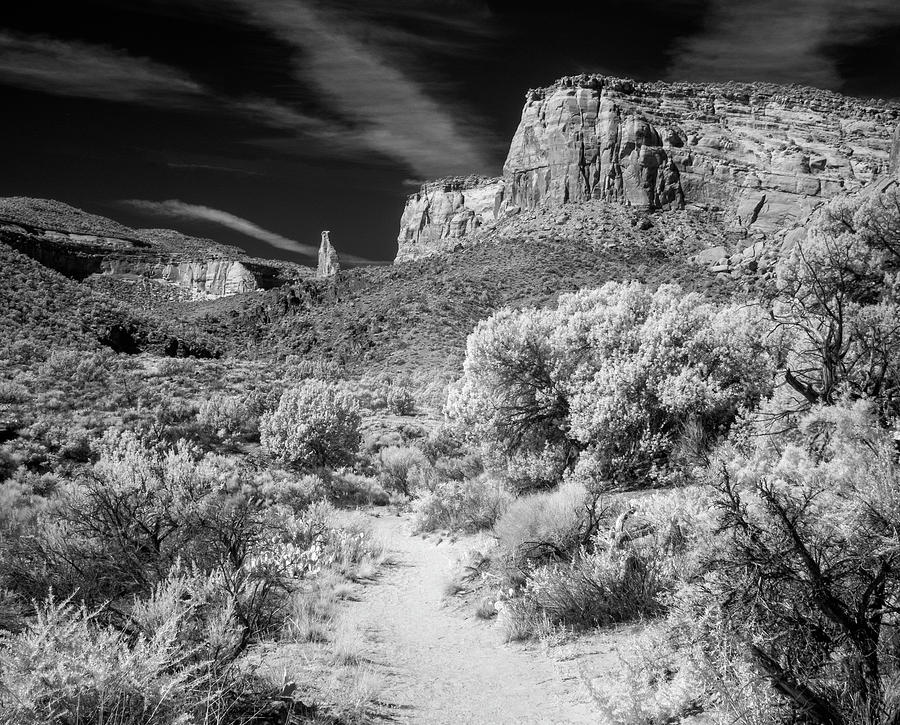 Lower Monument Canyon Ir 0855 Photograph
