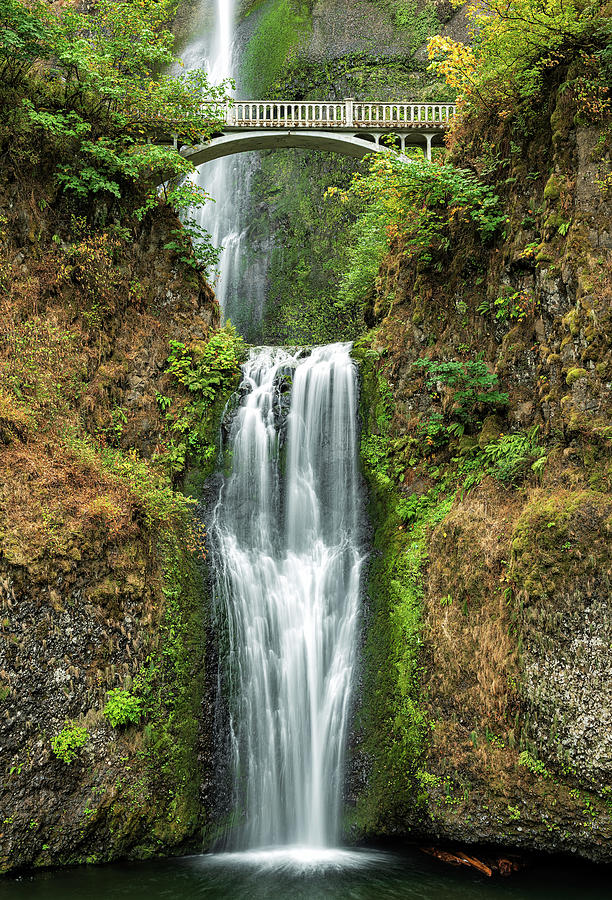 Lower Multnomah Falls Photograph by Rudy Wilms