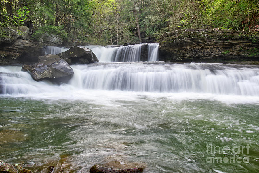 Lower Potters Falls 23 Photograph by Phil Perkins