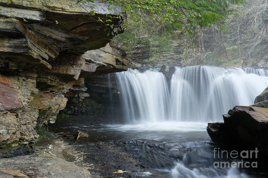Lower Potters Falls 29 Photograph by Phil Perkins