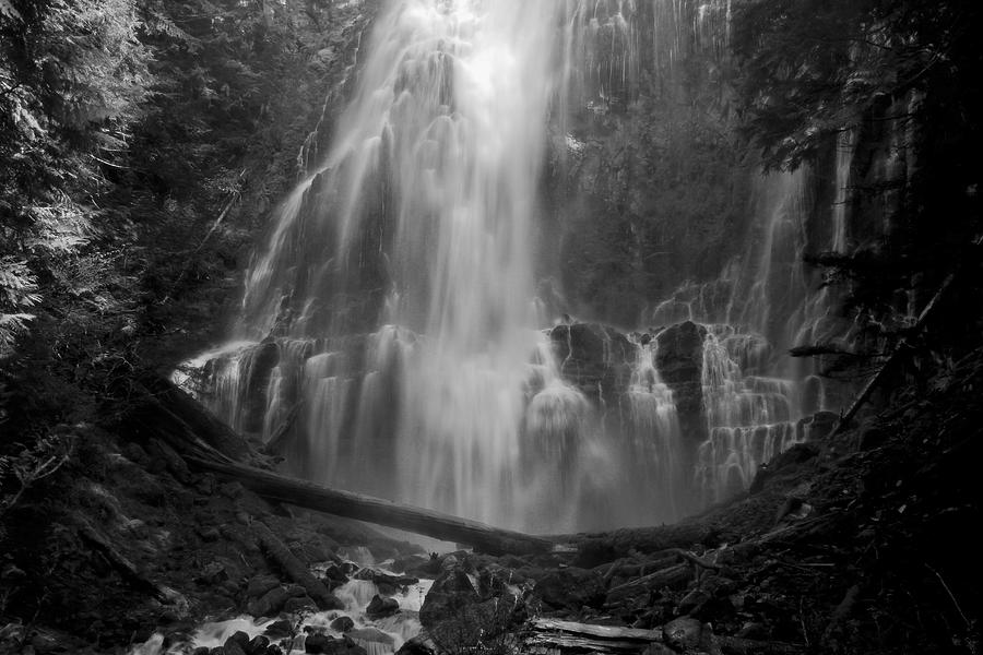 Lower Proxy Falls Black and White Photograph by Ed Riche