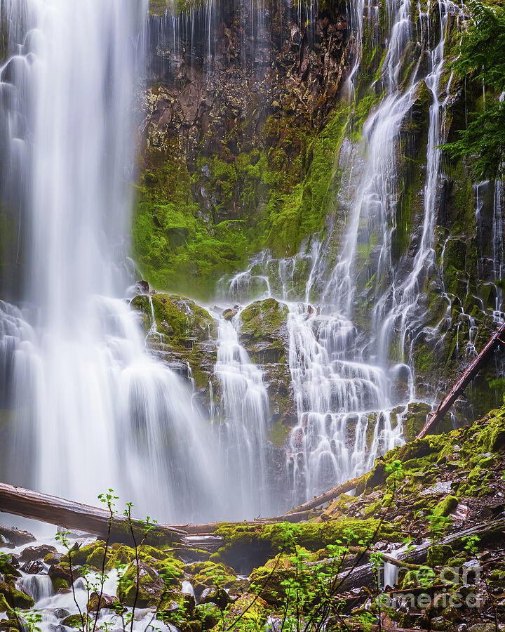 Waterfall Photograph - Lower Proxy Falls, Oregon by Henk Meijer Photography
