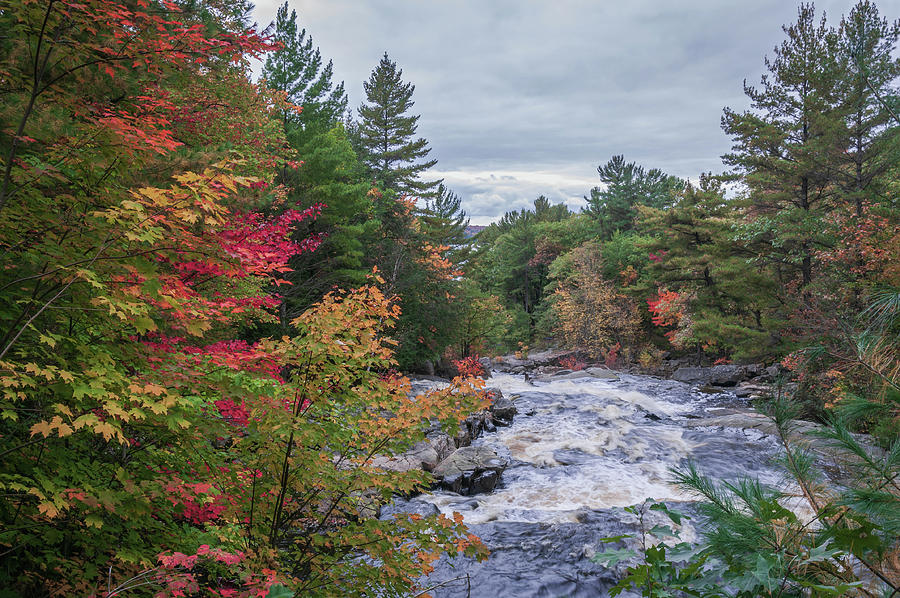 Lower Rosseau Falls Photograph by Andrew Wilson