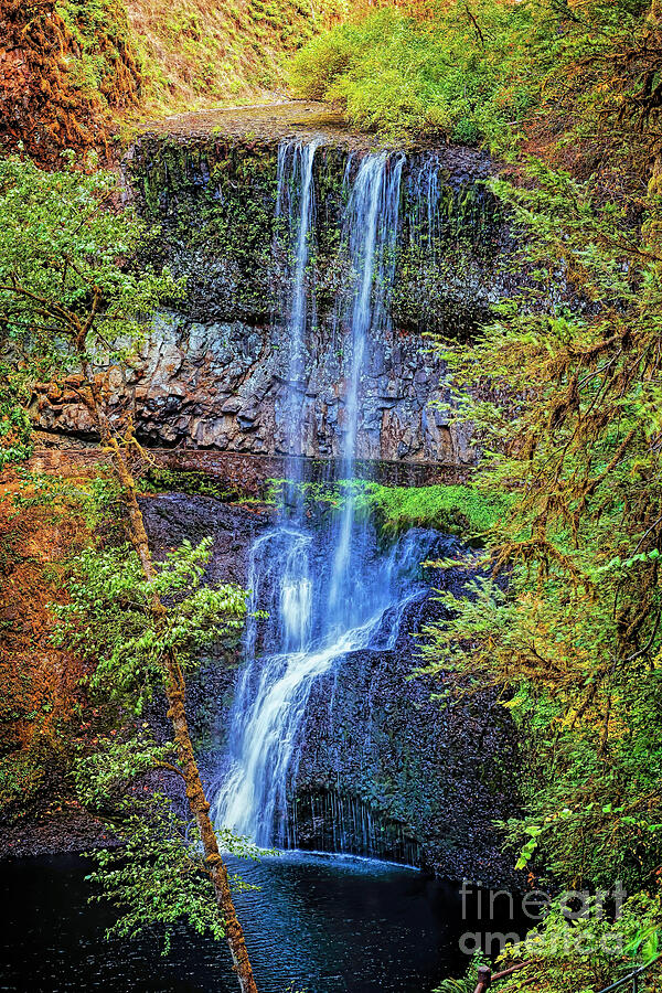 Waterfall Photograph - Lower South Falls by Jon Burch Photography