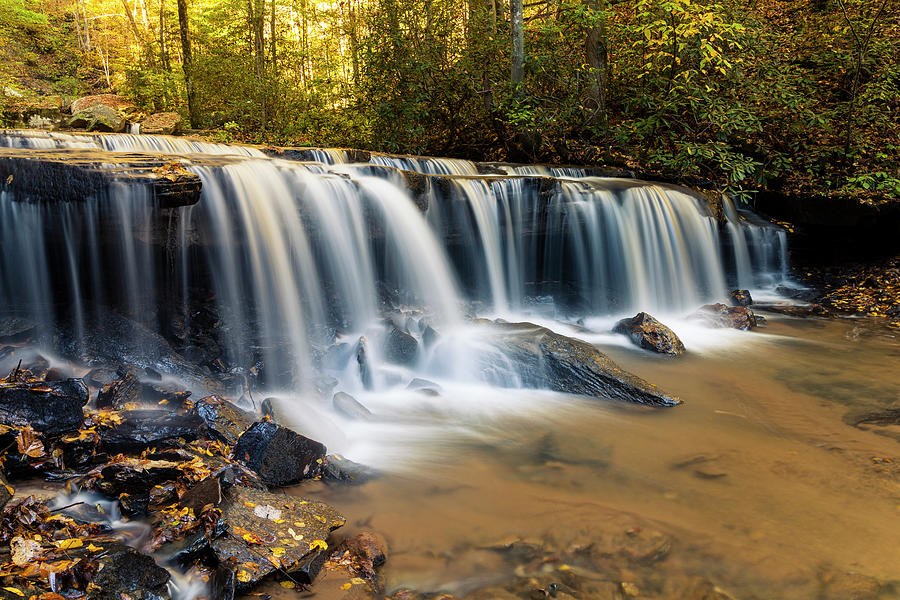 Lower Pearsons Falls Side - Nc Waterfall Photograph By Rich Nicoloff 