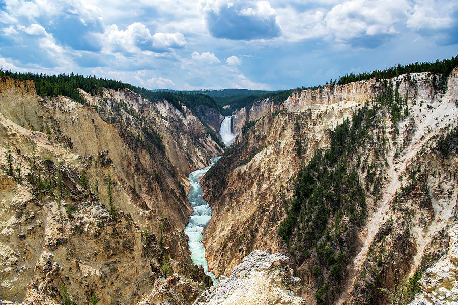 Lower Yellowstone Falls and Canyon Photograph by Rose Guinther