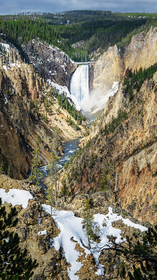 Lower Yellowstone Falls II Photograph by Joan Carroll