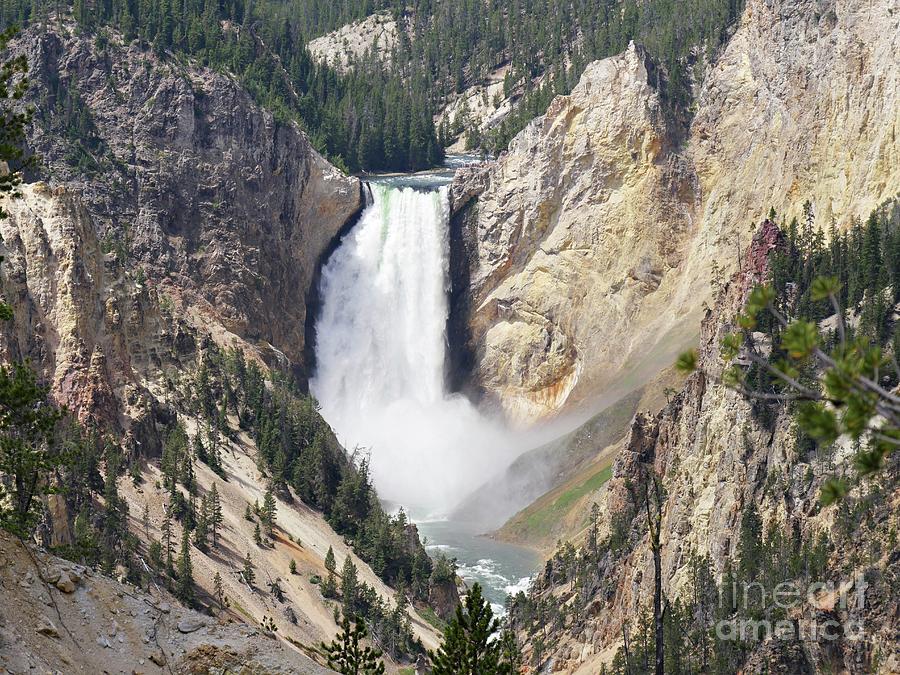 Lower Yellowstone Falls, Wyoming  Photograph by On da Raks