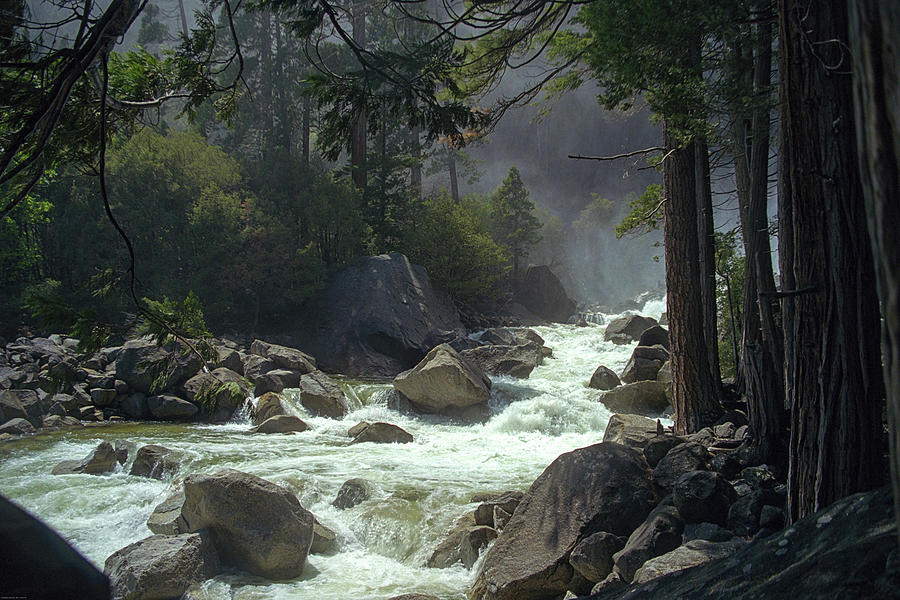 Lower Yosemite Falls - Bridgeside - Yosemite National Park, Yosemite, California Photograph by Bonnie Colgan