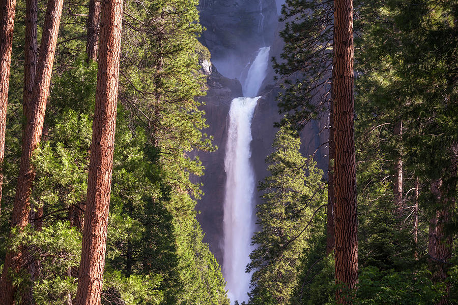 Lower Yosemite Falls Framed Photograph by Joseph S Giacalone